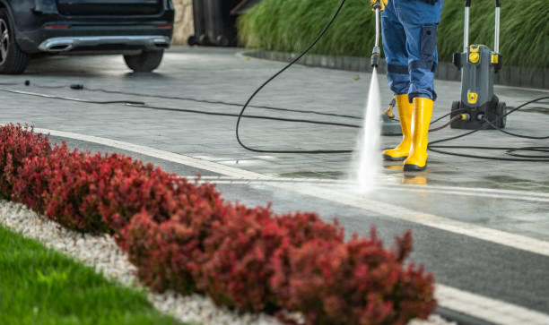 Roof Power Washing Services in Elba, AL