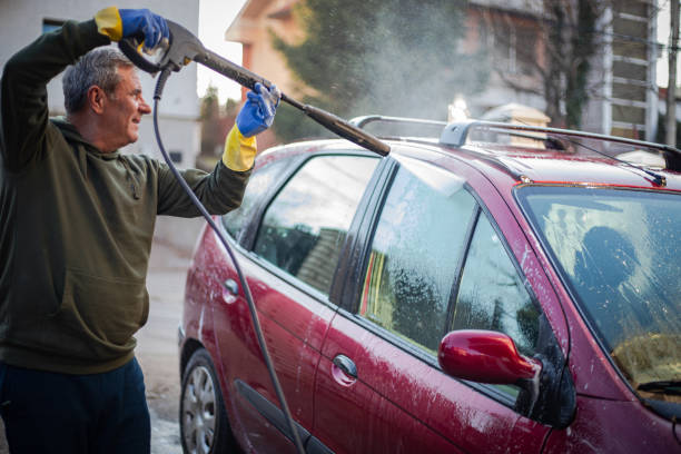 Best Roof Pressure Washing  in Elba, AL