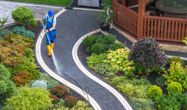 Best Residential Pressure Washing Services  in Elba, AL